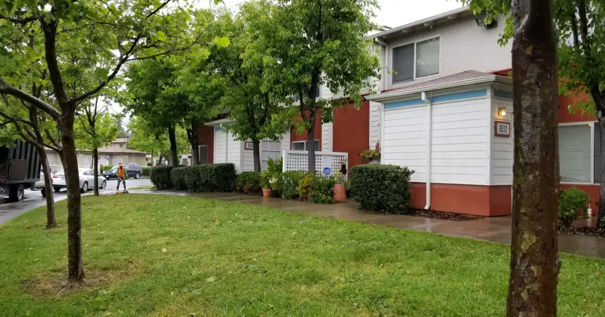 Absolute Best Care - Landscaping